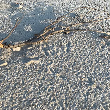 White Sand Villa Direct Access To Koviou Beach 度假居